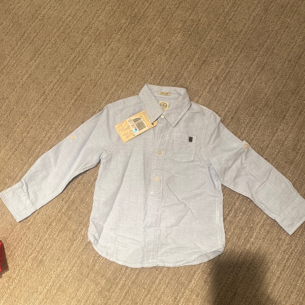 Scotch Shrunk Button Down